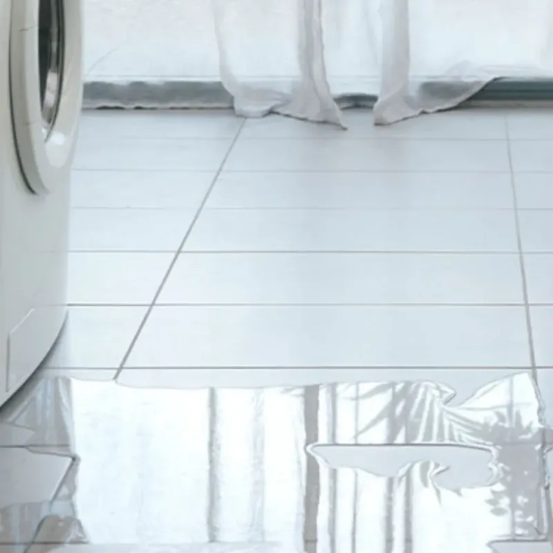 Appliance Leak Cleanup in Halstead, KS