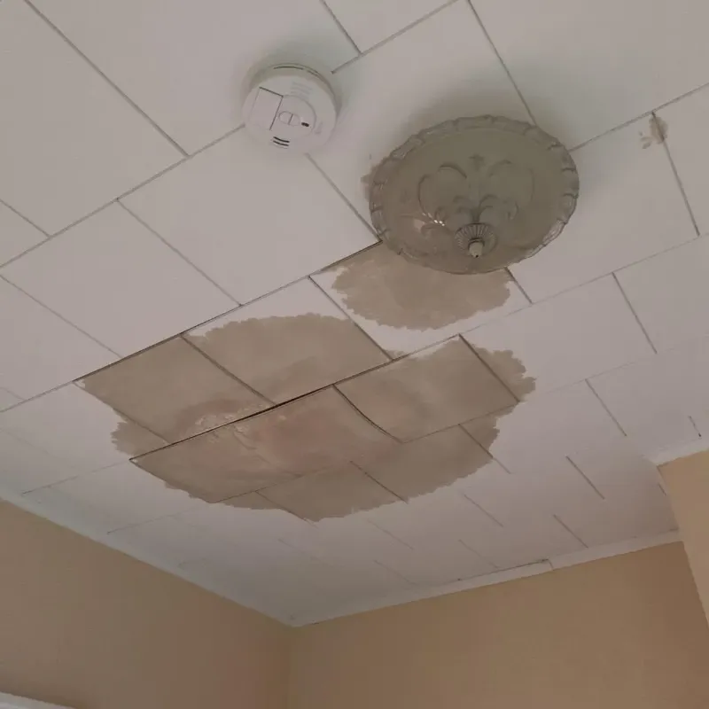 Ceiling Water Damage Repair in Halstead, KS