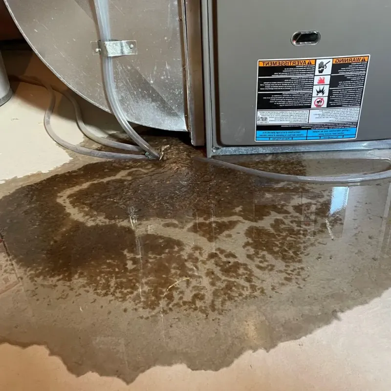 Pipe Burst and Leak Restoration in Halstead, KS