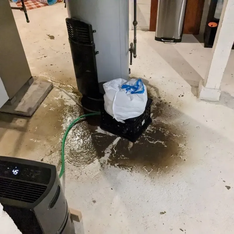 Sewage Backup Cleanup Service in Halstead, KS
